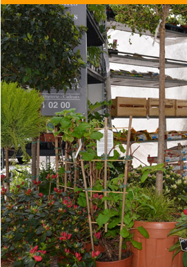 Magasin de fleurs dans le Loiret