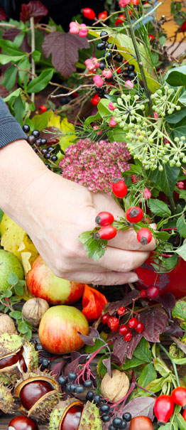 légumes, fleurs et graines (45)